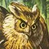 ursbraem GitHub avatar